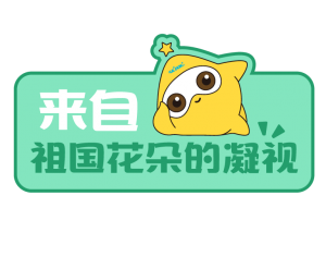南宫NG·28(中国区)相信品牌实力有限公司