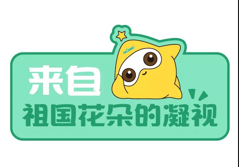 南宫NG·28(中国区)相信品牌实力有限公司